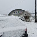 성호농장2 이미지