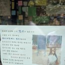 전주한옥 데미샘1937 | 책보 책방 : 귀여운 강아지가 있는 전주 책방 추천