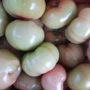 금빛세차장 이미지