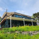 도래재별빛마을캠핑장 | 밀양 오토캠핑장 - 도래재 별빛마을 캠핑장 후기