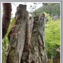 정선그림바위민박 이미지