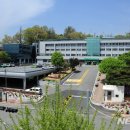 횡성군청 민원실 이미지