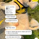 6월 모음🚶