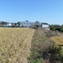 전대2리 이미지