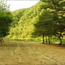 솔밭쉼터 - 영월군 선돌길 46 | 솔밭쉼터