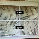 닥터포헤어제주점
