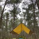 백사장사계절숲속야영장 이미지