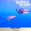 샤인트래블 | 보홀션 샤인호핑 거북이 스노클링 리얼 후기