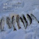 속초 겨울바다, 화천 산천어축제 반반 회 많이 (4) 화천 산천어축제 방문 썰 푼다