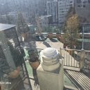 행복부동산중개 이미지