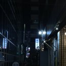뼈대손손