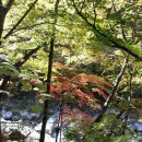 십이선여탕 이미지