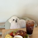 카페후프 | 경주 황리단길 카페 후프후프 조랑말 먹이 주기 후기