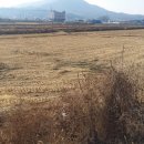 녹지부동산공인중개사사무소 이미지