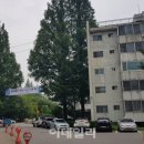 지에스25서초대림 이미지