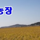 신지농장 이미지