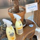 정연 | 계룡 현지인 추천맛집 정연식당 뼈구이 솔직후기 (주차, 영업시간, 예약)