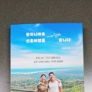 매일원색