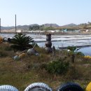 하의복지센터 이미지