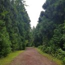 곶자왈칼국수 이미지