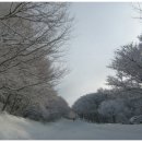 꿈에궁전 이미지