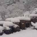 어유곡 Daum카페