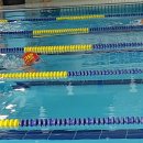 군산 교육지원청교육장배 초등학교 수영대회 이미지