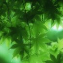 생각이 무럭무럭 이미지