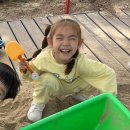 대경목장 Daum카페