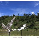 충북] 진천(鎭川) 농다리(籠橋) 축제 이미지