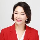 한국베트남교류협회
