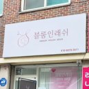블룸인래쉬