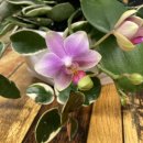 산성마을문고 이미지