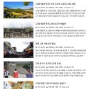 고령군청 | 숏폼 동영상 제작 및 숏폼을 활용한 홍보 기법 강의 진행 - 고령군청