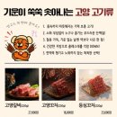 고양꼬치 산성점