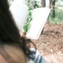 인정세탁소 이미지