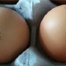 승일농장 푸드투데이