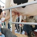 중앙공원 시민광장 이미지