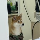 부흥로351번길 이미지