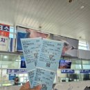 달리도 민박 | 전남 여름휴가지 추천! 사랑이 넘치는 섬 외달도 섬 여행~ 숙소 추천! 외달도 해수풀장 정보!