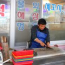 화진포해양박물관 티스토리