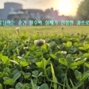 고대109 이미지