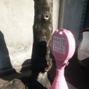 무성모터스 이미지