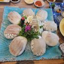 8/21~8/23 목포유달산,고하도,외달도 이미지