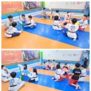 최강튼튼태권도장 이미지