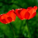 사법행정사 사무소 이미지