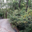상도근린공원 이미지
