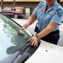 주정차단속-33 이미지