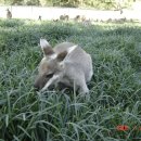 (주)미광스포렉스 이미지