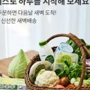 오아시스24 이미지